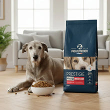 Pienso para perros adultos mayores de 7 años | 14 kg