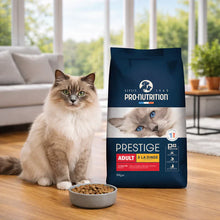 Pienso para gatos adultos a partir de un año, con pollo y pavo | 10 kg