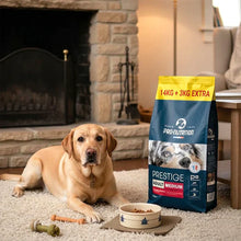 Pienso para perros adultos | Saco de 17 kg