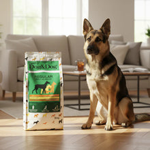 Pienso completo para perros adultos | 20 kg