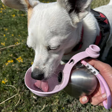 Botella de agua portátil para perros