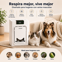 Purificador de Aire de Doble Cara para Hogares con Mascotas