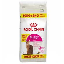 Pienso para Gatos Royal Canin – 12 kg