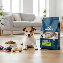 Pienso para perros adultos de razas pequeñas | Saco de 8 kg