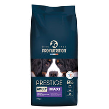 Pienso para perros adultos de razas grandes. Una bolsa de 14 kilogramos