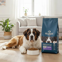 Pienso para perros adultos de razas grandes. Una bolsa de 14 kilogramos
