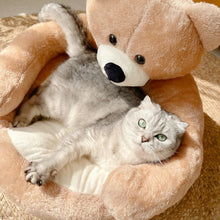 Cuddle Bear™ – Cama de Oso Ultra Suave para Gatos