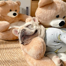 Cuddle Bear™ – Cama de Oso Ultra Suave para Gatos