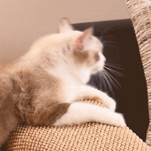 Protector de Sofá Antiarañazos para Gatos con Efecto Sisal