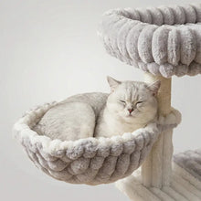 Árbol Rascador para Gatos con Casita Acolchada