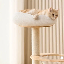 Árbol Rascador Moderno para Gatos con Cápsula Transparente