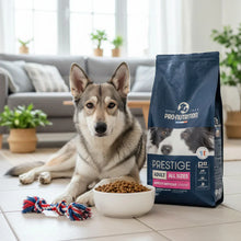 Pienso para perros con cordero y arroz. Una bolsa de 12 kilos