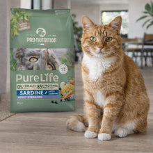 Pienso para gatos adultos con pato y sardinas | 8 kg